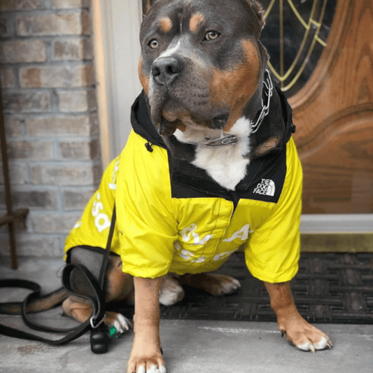 Dog Raincoat & Windbreaker – For Small to Large Dogs